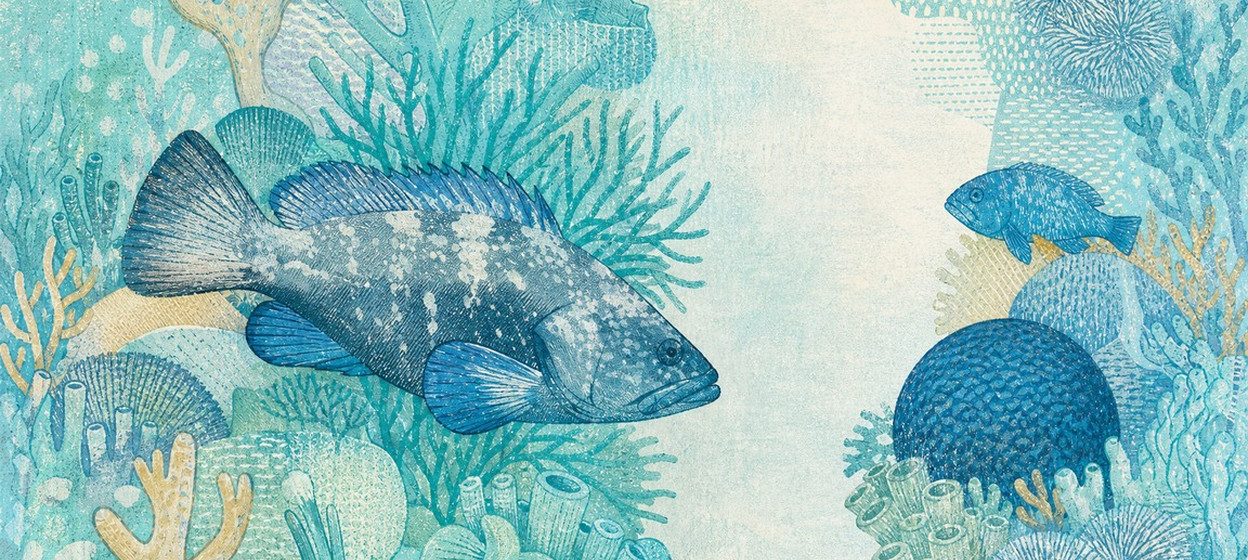 Illustration of a 100 BRL banknote (Brazilian Real), featuring Dusky grouper.