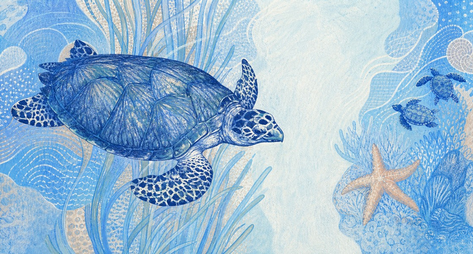 Illustration of a 2 BRL banknote (Brazilian Real), featuring Hawksbill turtle.