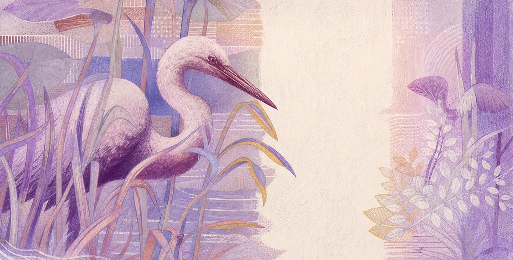 Illustration of a 5 BRL banknote (Brazilian Real), featuring Great egret.
