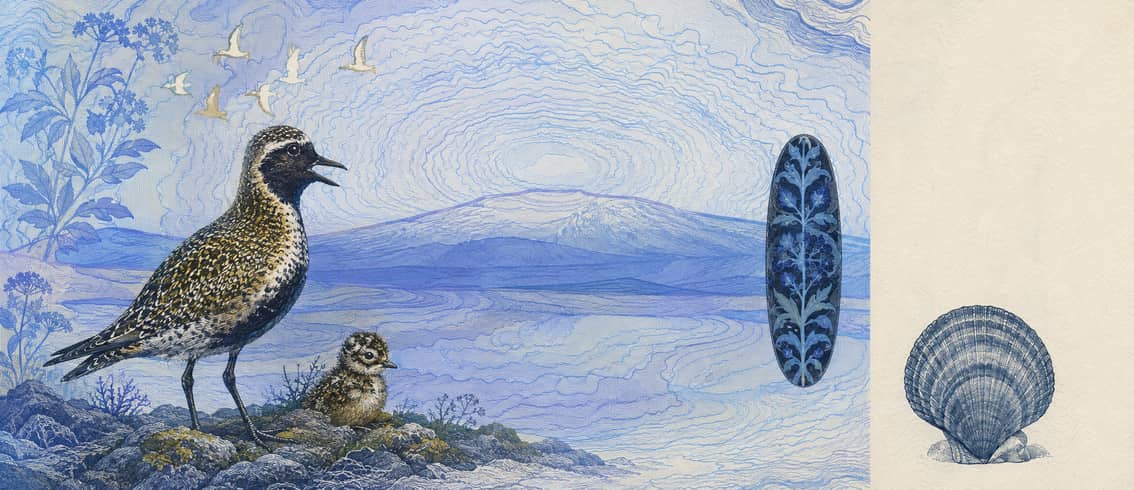 Illustration of a 10,000 ISK banknote (Icelandic Krona), featuring Golden plover, chick and Skjaldbreiður.
