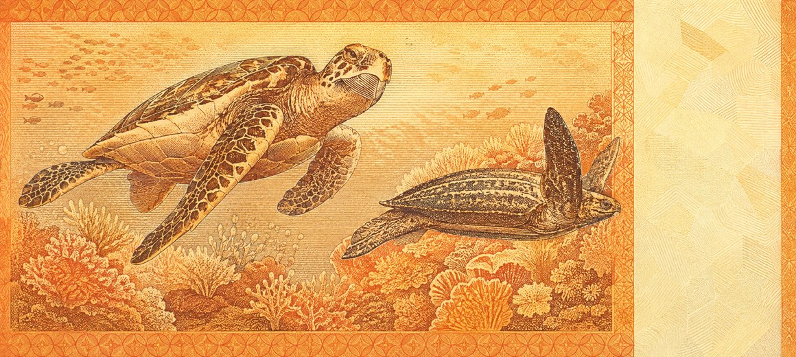 Illustration of a 20 MYR banknote (Malaysian Ringgit), featuring Hawksbill & leatherback turtles.