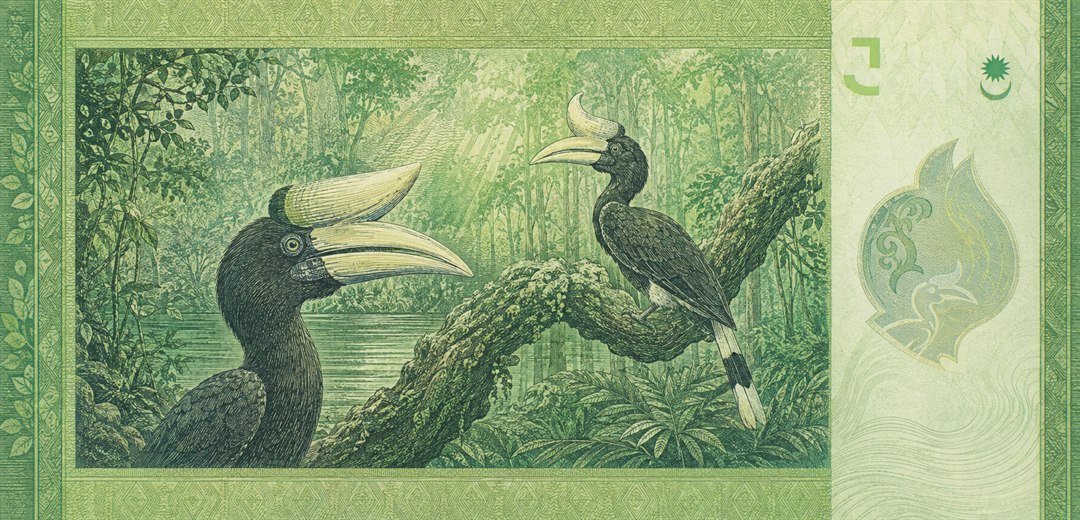 Illustration of a 5 MYR banknote (Malaysian Ringgit), featuring Rhinoceros hornbills.