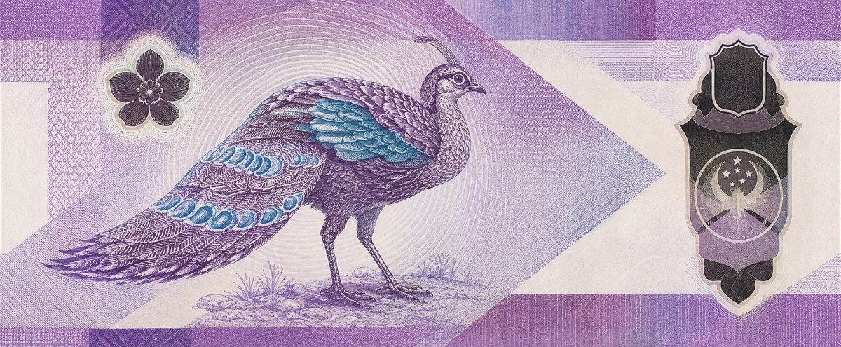 Illustration of a 100 PHP banknote (Philippine Peso), featuring Palawan peacock-pheasant.