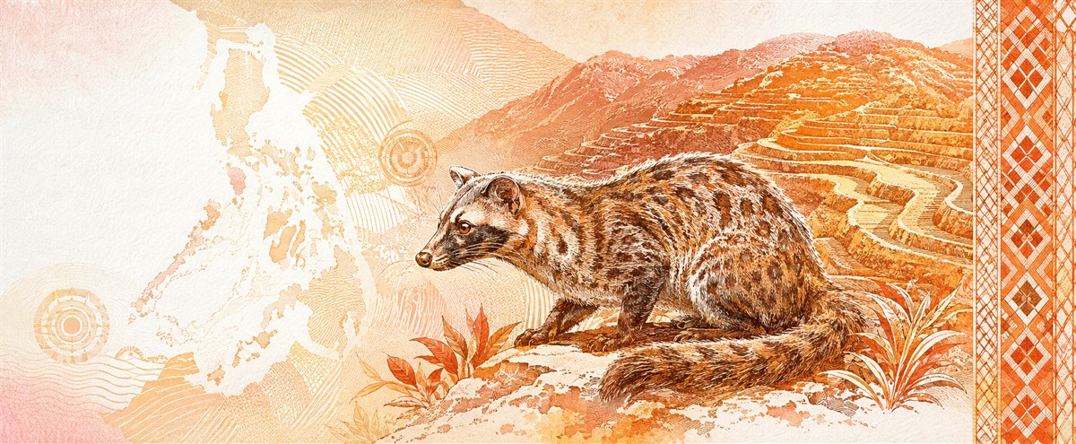 Illustration of a 20 PHP banknote (Philippine Peso), featuring Banaue terraces & palm civet.
