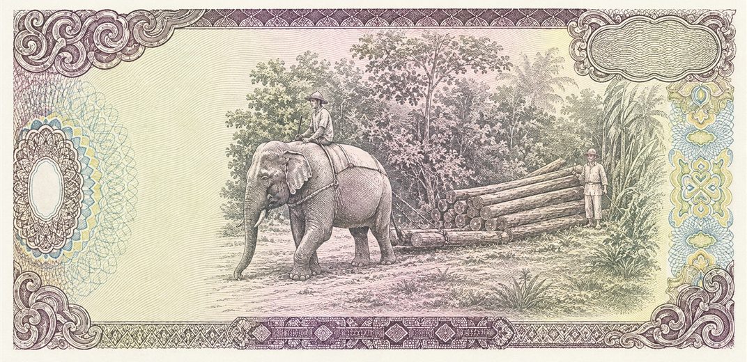 Illustration of a 1,000 VND banknote (Vietnamese Dong), featuring Elephant and timber.