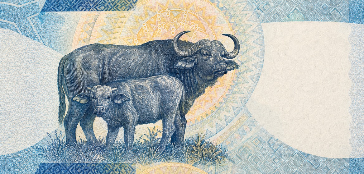 Illustration of a 100 ZAR banknote (South African Rand), featuring Cape buffalo family.